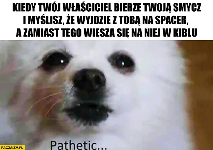 
    Pies kiedy Twój właściciel bierze Twoją smycz i myślisz, że wyjdzie z Tobą na spacer a zamiast tego wiesza się na niej w kiblu pathetic żałosne