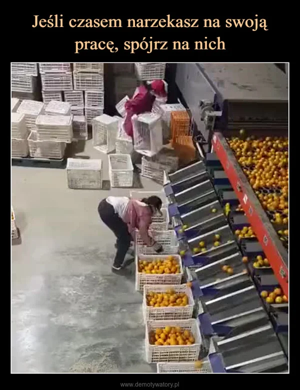 
    Jeśli czasem narzekasz na swoją pracę, spójrz na nich