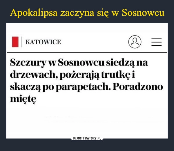 
    Apokalipsa zaczyna się w Sosnowcu