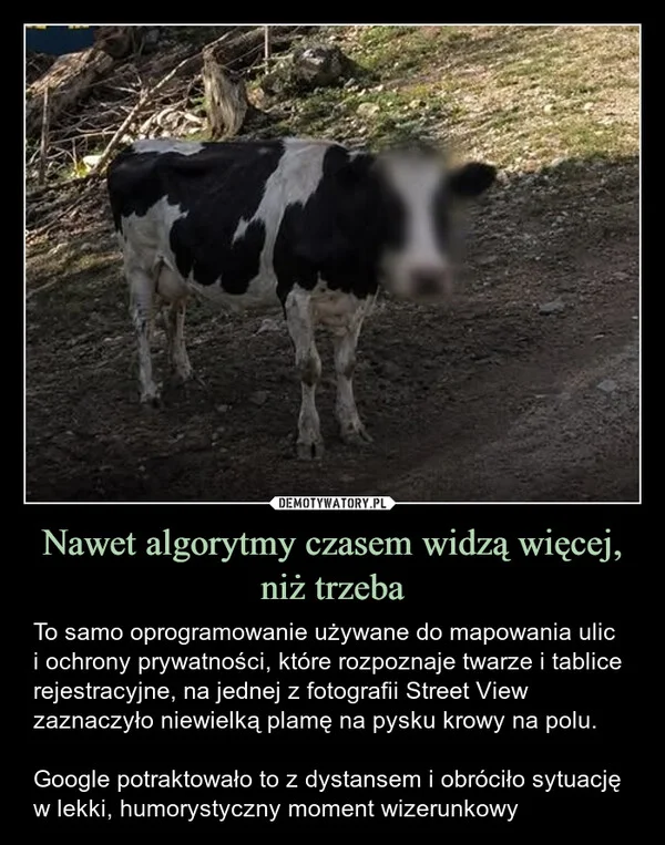
    Nawet algorytmy czasem widzą więcej, niż trzeba