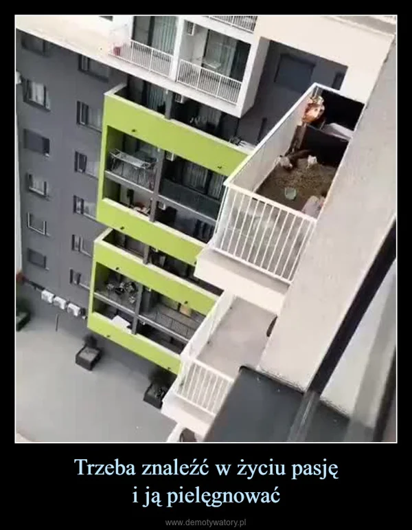 
    Trzeba znaleźć w życiu pasję i ją pielęgnować