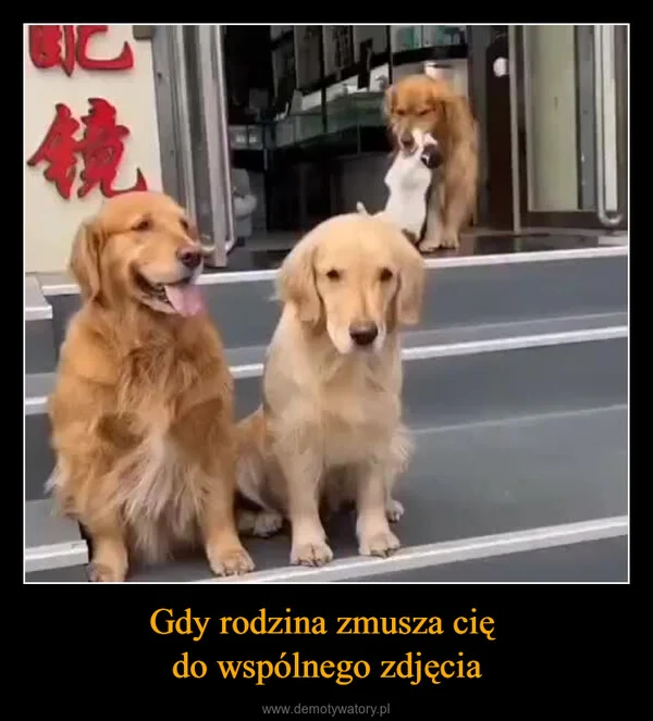 
    Gdy rodzina zmusza cię do wspólnego zdjęcia