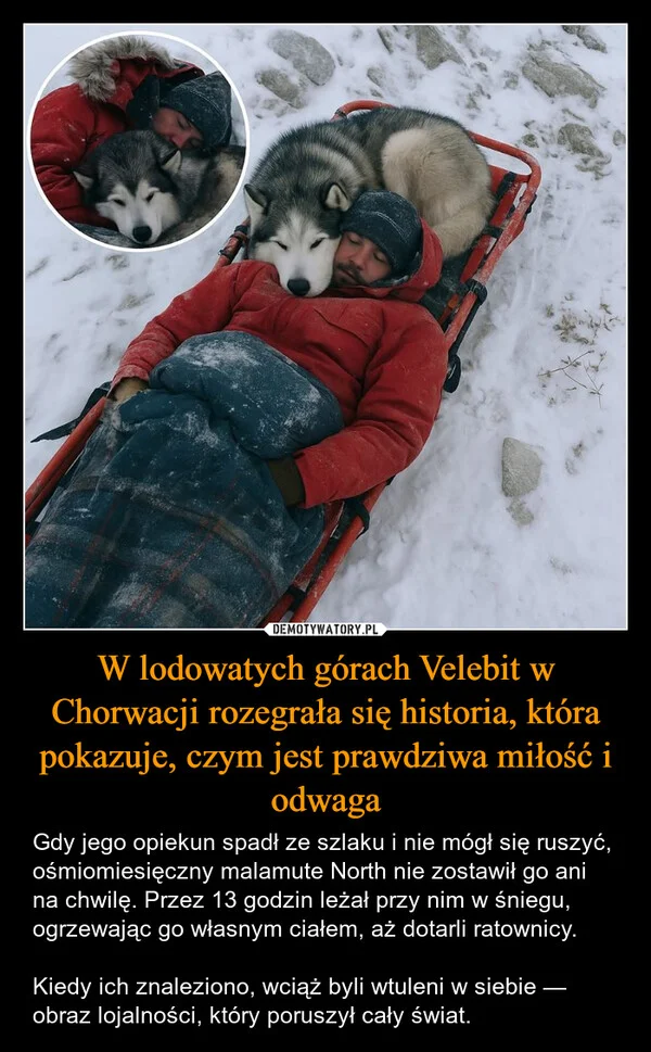 
    W lodowatych górach Velebit w Chorwacji rozegrała się historia, która pokazuje, czym jest prawdziwa miłość i odwaga