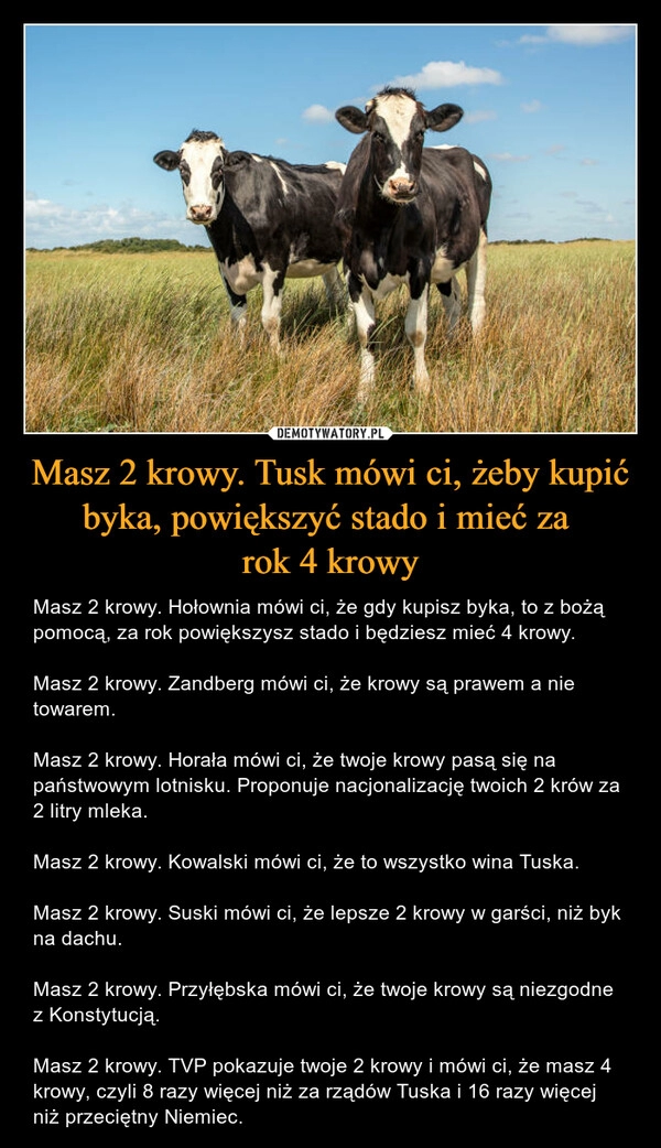 
    
Masz 2 krowy. Tusk mówi ci, żeby kupić byka, powiększyć stado i mieć za
rok 4 krowy 