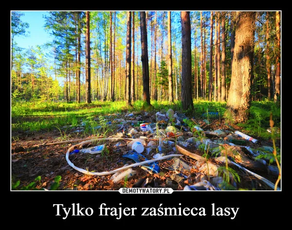 
    Tylko frajer zaśmieca lasy