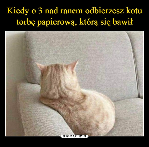 
    Kiedy o 3 nad ranem odbierzesz kotu torbę papierową, którą się bawił