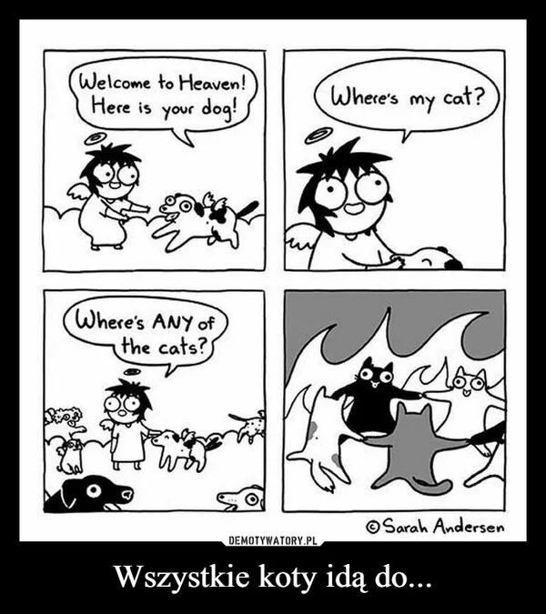 
    Wszystkie koty idą do...