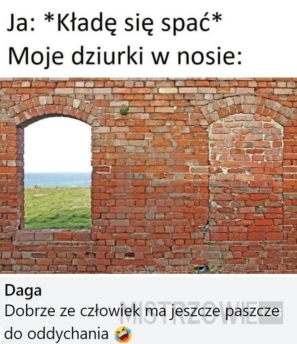 
    Dziurki