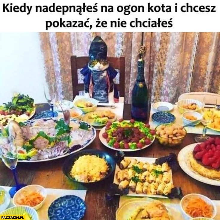 
    Kiedy nadepnąłeś na ogon kota i chcesz pokazać, że nie chciałeś