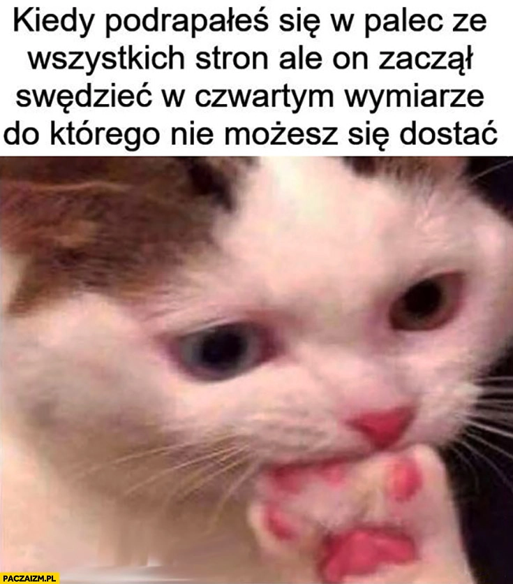 
    Kot kiedy podrapałeś się w palec ze wszystkich stron, ale on zaczął swędzieć w czwartym wymiarze do którego nie możesz się dostać