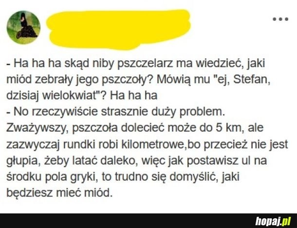 
    Pszczoły.