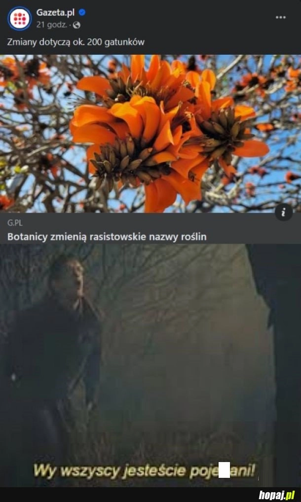 
    Rasistowskie rośliny.