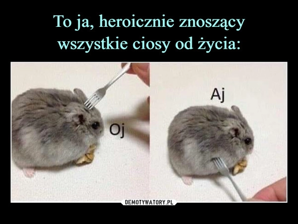 
    To ja, heroicznie znoszący
wszystkie ciosy od życia: