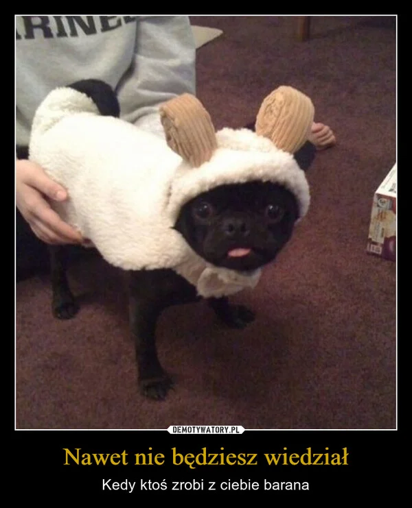Nawet nie będziesz wiedział