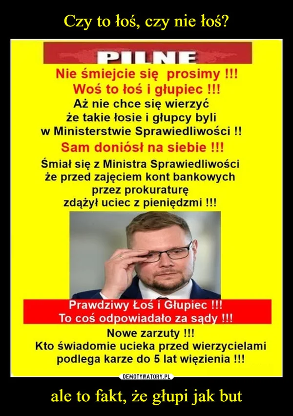 
    Czy to łoś, czy nie łoś? ale to fakt, że głupi jak but