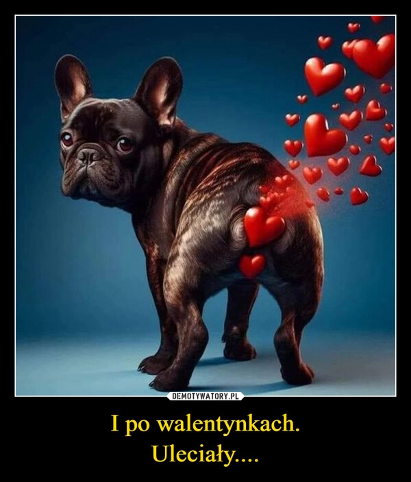 
    I po walentynkach.
Uleciały....