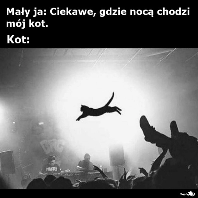 
    Dobrze się bawi 