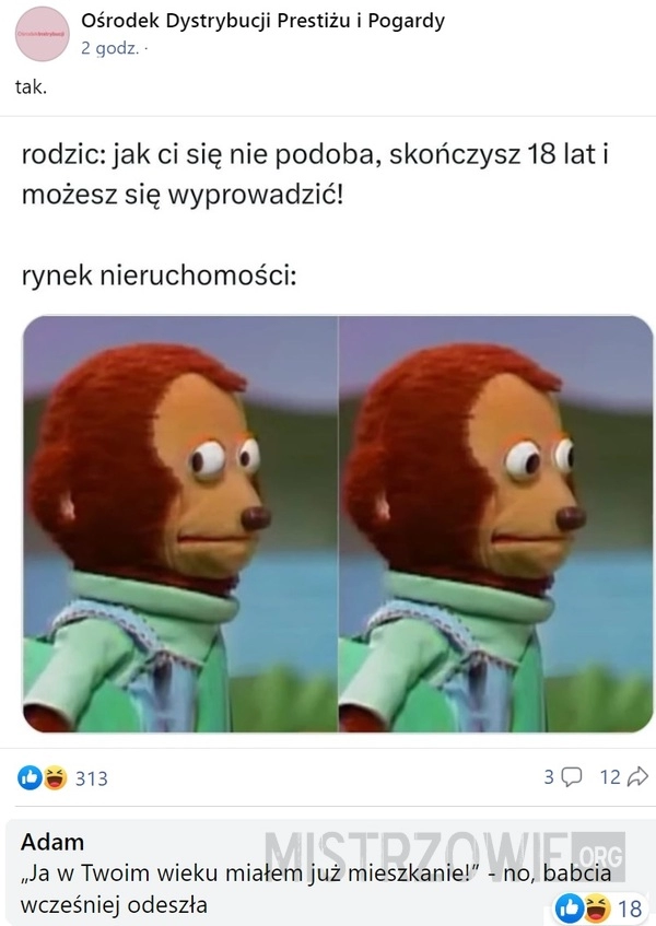 
    Wyprowadzka