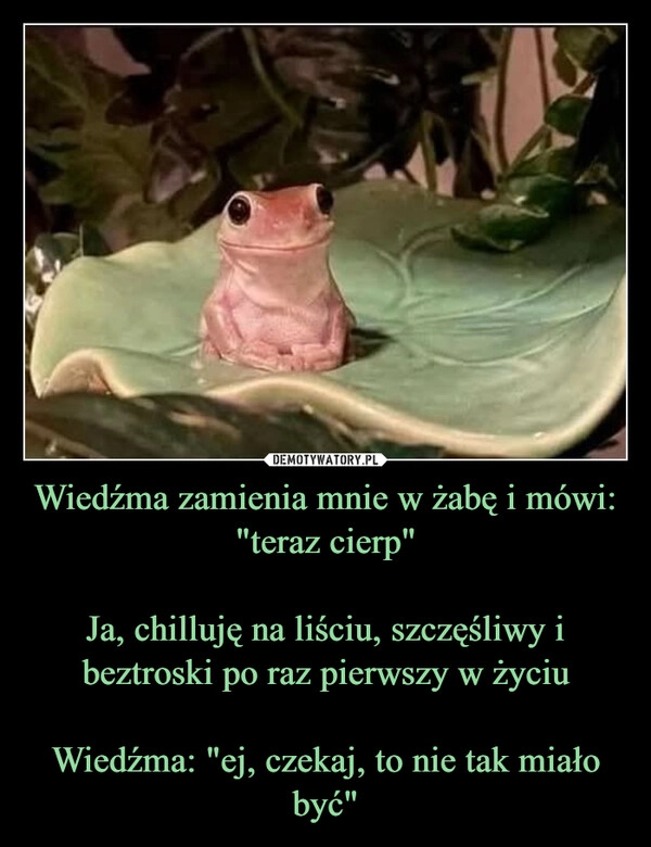 
    Wiedźma zamienia mnie w żabę i mówi: "teraz cierp"

Ja, chilluję na liściu, szczęśliwy i beztroski po raz pierwszy w życiu

Wiedźma: "ej, czekaj, to nie tak miało być"