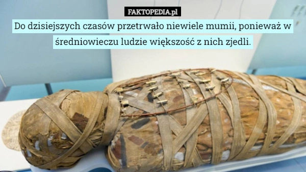 
    Do dzisiejszych czasów przetrwało niewiele mumii, ponieważ w średniowieczu