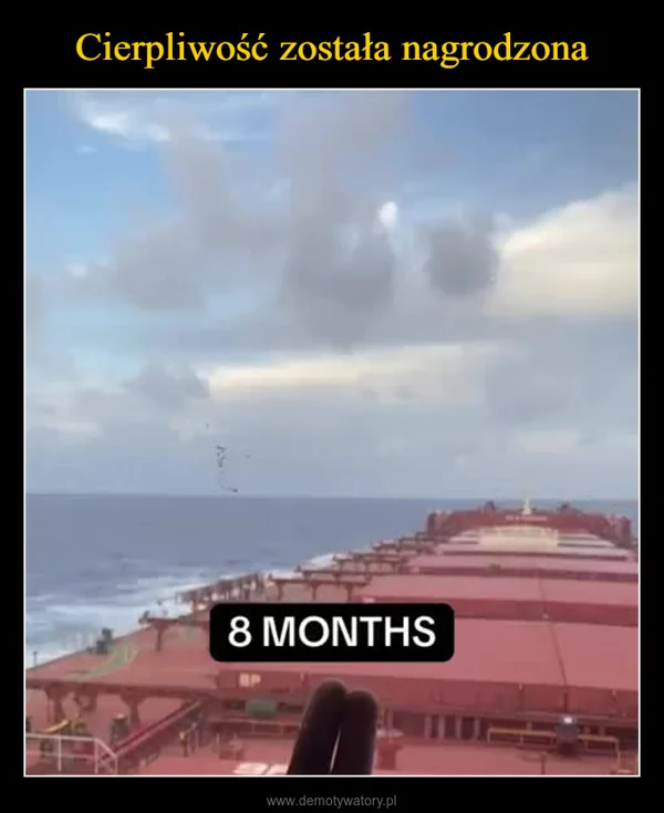 
    Cierpliwość została nagrodzona