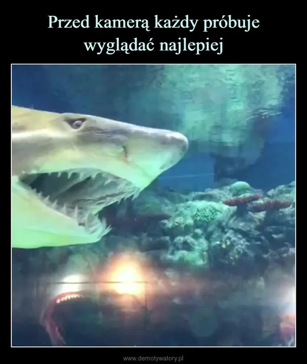 Przed kamerą każdy próbuje wyglądać najlepiej