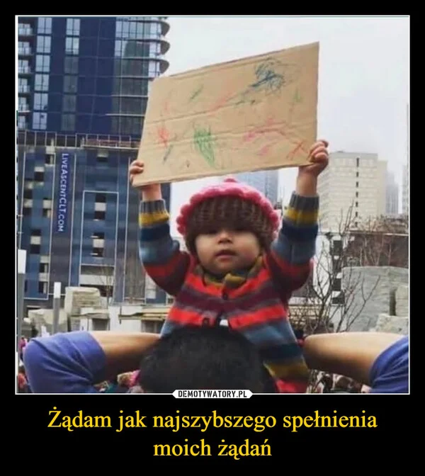 
    Żądam jak najszybszego spełnienia moich żądań