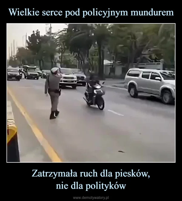 
    Wielkie serce pod policyjnym mundurem Zatrzymała ruch dla piesków, nie dla polityków