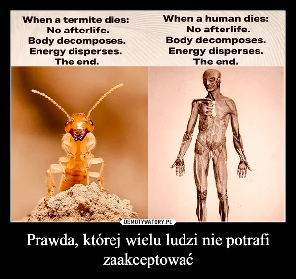 
    Prawda, której wielu ludzi nie potrafi zaakceptować