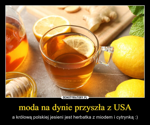 
    moda na dynie przyszła z USA