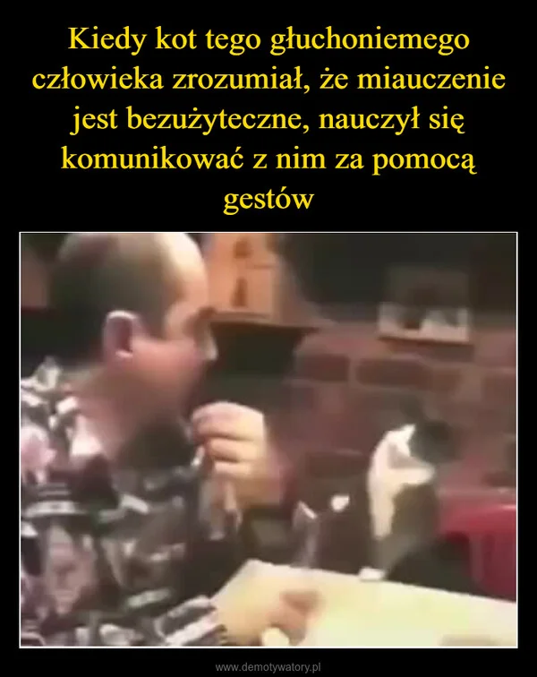 
    Kiedy kot tego głuchoniemego człowieka zrozumiał, że miauczenie jest bezużyteczne, nauczył się komunikować z nim za pomocą gestów