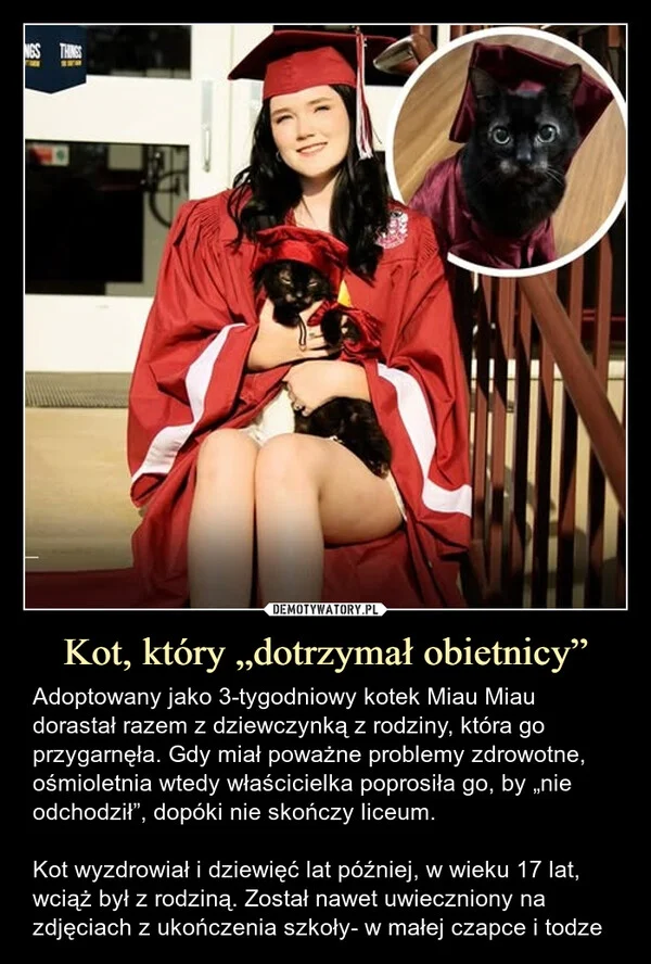 
    Kot, który „dotrzymał obietnicy”