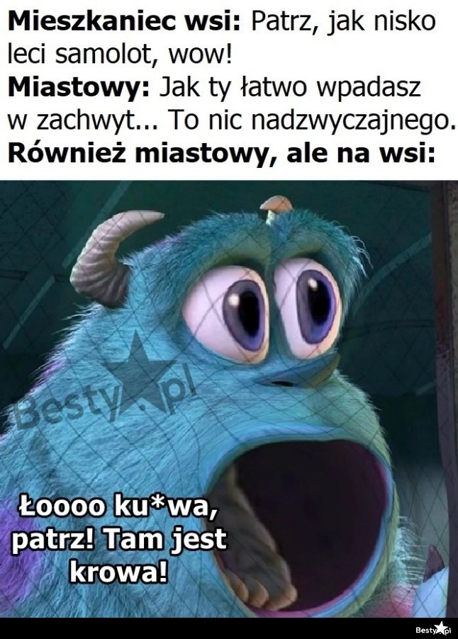 
    Dla każdego znajdzie się atrakcja 