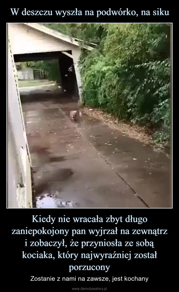 
    W deszczu wyszła na podwórko, na siku Kiedy nie wracała zbyt długo zaniepokojony pan wyjrzał na zewnątrz i zobaczył, że przyniosła ze sobą kociaka, który najwyraźniej został porzucony