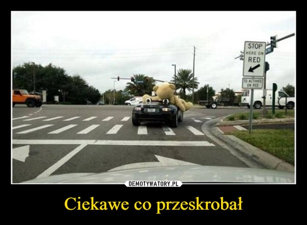 
    Ciekawe co przeskrobał