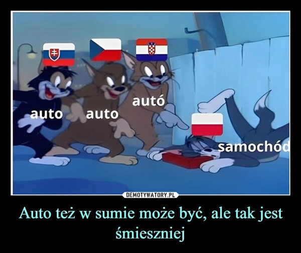 
    Auto też w sumie może być, ale tak jest śmieszniej