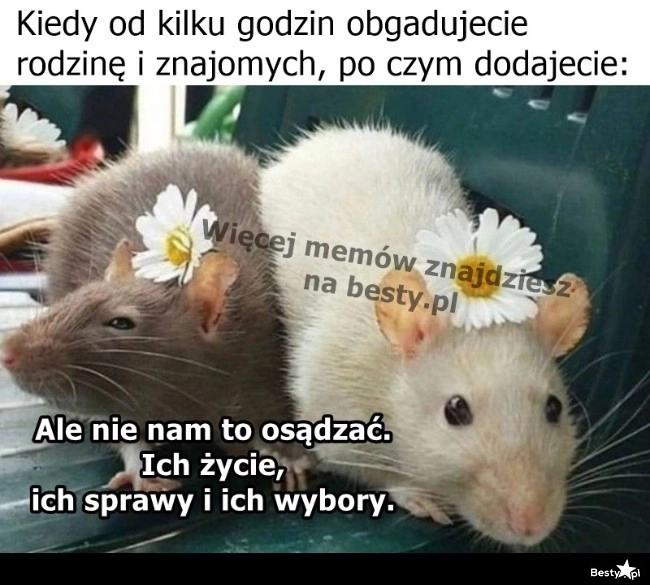 
    W samą porę 