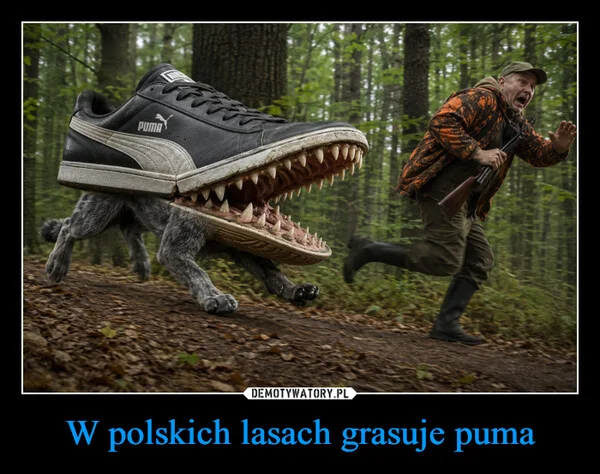 
    W polskich lasach grasuje puma