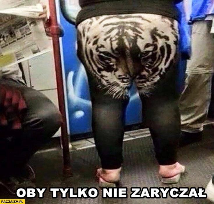 
    Oby tylko nie zaryczał lew tygrys na legginsach gruba laska