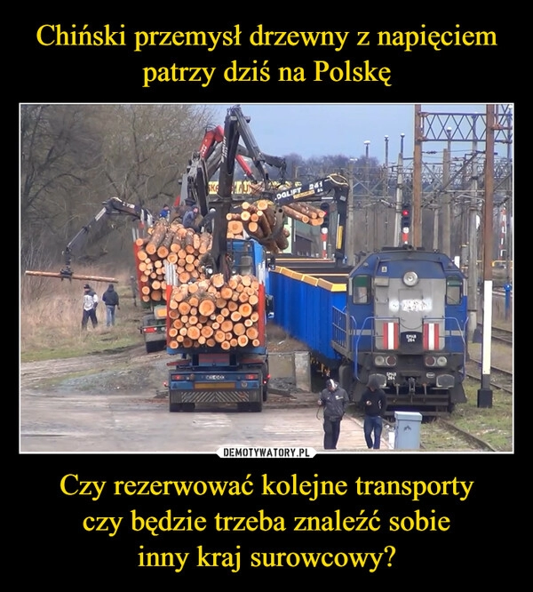 
    Chiński przemysł drzewny z napięciem patrzy dziś na Polskę Czy rezerwować kolejne transporty
czy będzie trzeba znaleźć sobie
inny kraj surowcowy?