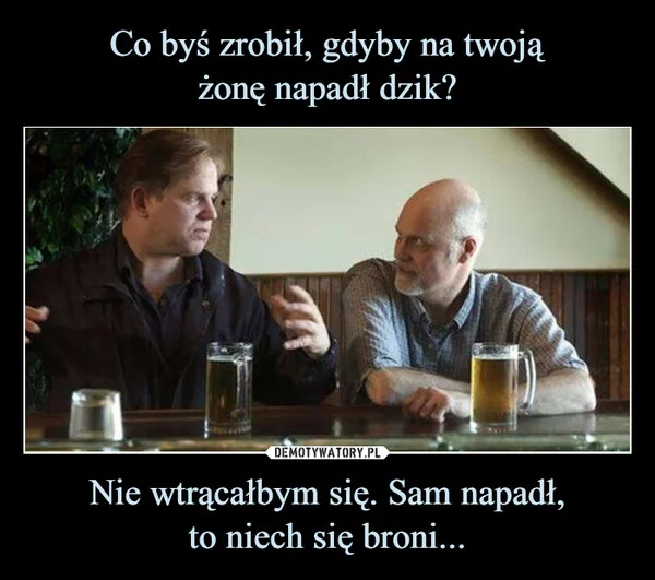 Co byś zrobił, gdyby na twoją żonę napadł dzik? Nie wtrącałbym się. Sam napadł, to niech się broni...