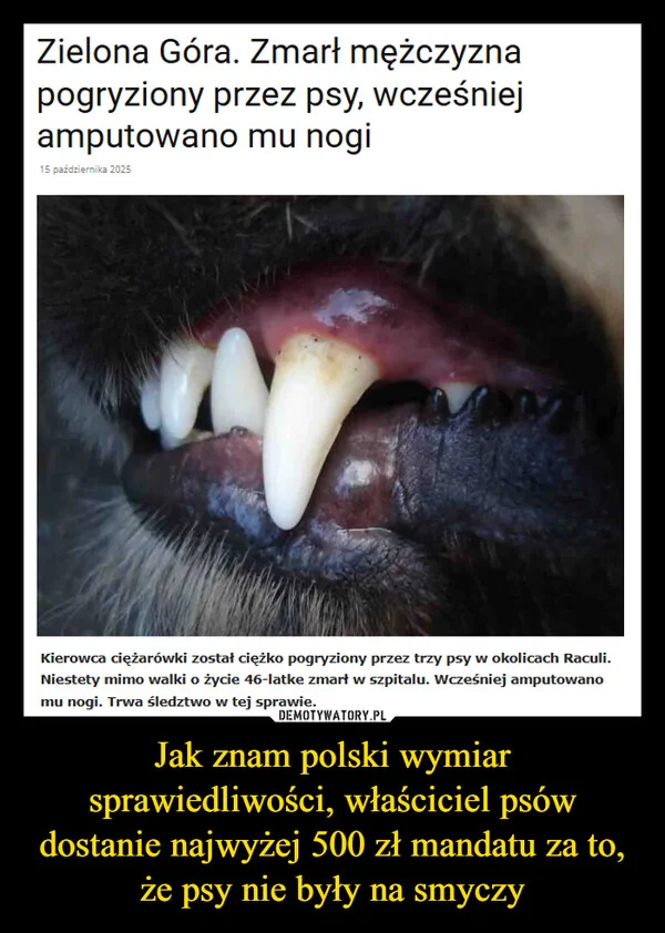 
    Jak znam polski wymiar sprawiedliwości, właściciel psów dostanie najwyżej 500 zł mandatu za to, że psy nie były na smyczy