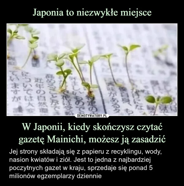 
    Japonia to niezwykłe miejsce W Japonii, kiedy skończysz czytać gazetę Mainichi, możesz ją zasadzić