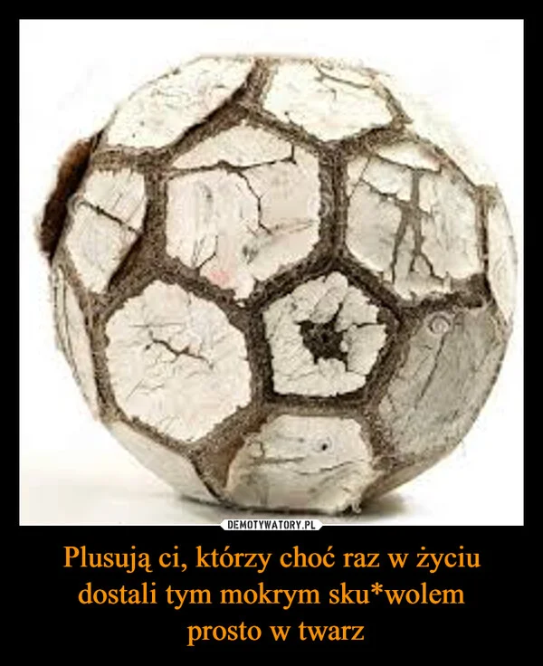 
    Plusują ci, którzy choć raz w życiu dostali tym mokrym sku*wolem prosto w twarz