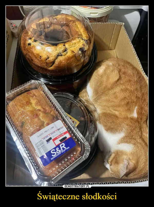 
    Świąteczne słodkości