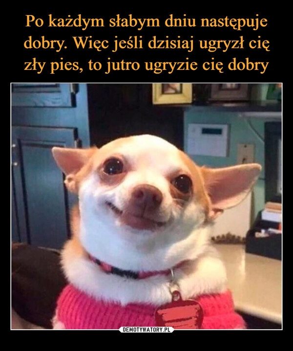 
    Po każdym słabym dniu następuje dobry. Więc jeśli dzisiaj ugryzł cię zły pies, to jutro ugryzie cię dobry