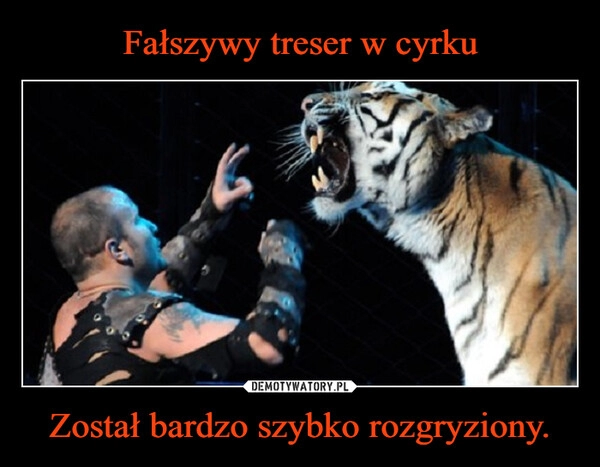 
    Fałszywy treser w cyrku Został bardzo szybko rozgryziony.