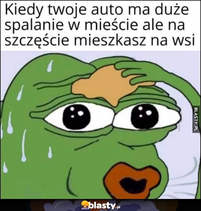 
    Kiedy twoje auto ma duże spalanie w mieście, ale na szczęście mieszkasz na wsi żaba Pepe