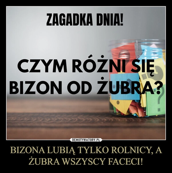 
    BIZONA LUBIĄ TYLKO ROLNICY, A ŻUBRA WSZYSCY FACECI!