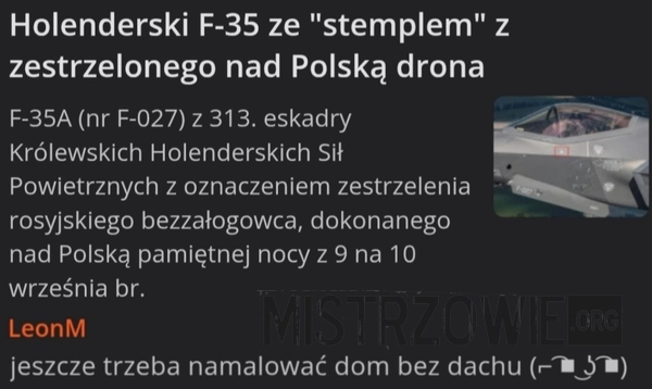 
    Myśliwiec